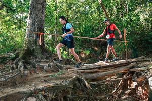 BIB: 
                            <button type="button" onclick="openModal(27552660)" class="btn btn-primary btn-sm float-right btn-popup" data-toggle="modal" data-target=".modal-high-quality">
                        <i class="fas fa-shopping-cart"></i> Add to Cart
                    </button>
                                            <button type="button" onclick="isThisMe(27552660, true)" class="btn btn-success btn-sm float-right btn-popup btn-isme hidden" data-toggle="tooltip" data-placement="bottom" title="นี่คือรูปของคุณใช่ไหม คลิกที่นี่เพื่อเอาเข้าอัลบั้ม">
                        <i class="fas fa-plus"></i> Add to album
                    </button>
                    <button type="button" onclick="isThisMe(27552660, false)" class="btn btn-warning btn-sm float-right btn-popup btn-isnotme hidden">
                        <i class="fas fa-ban"></i> Remove from album
                    </button>